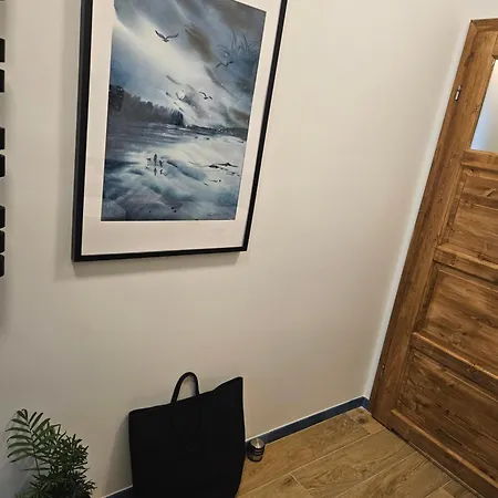 公寓 Baltic Swans - 索波特