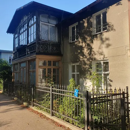 Baltic Swans - 索波特