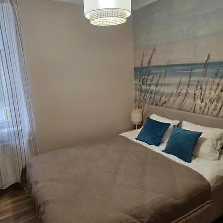 Baltic Swans - 索波特