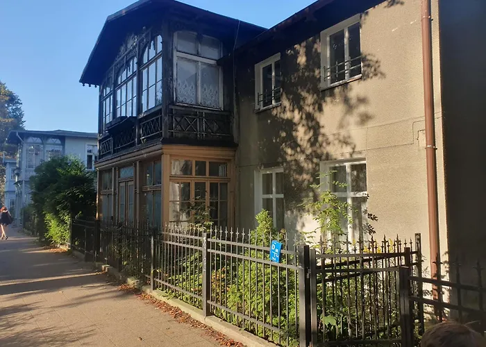 Baltic Swans - Sopot